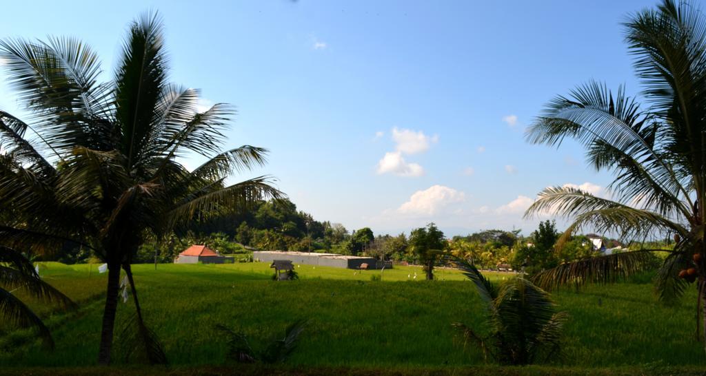 Wahyu Dewata Hotel Payangan Екстериор снимка